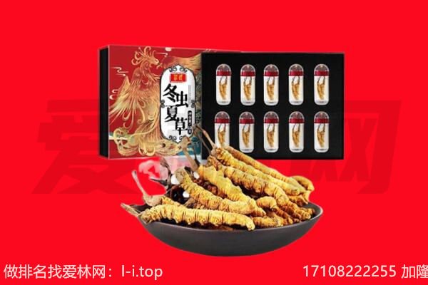 渭南合阳县回收虫草.jpg